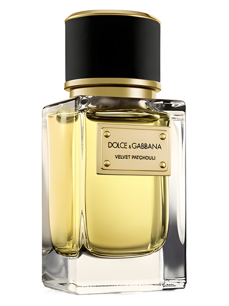 Velvet Patchouli Dolce&Gabbana for women and men 100ML