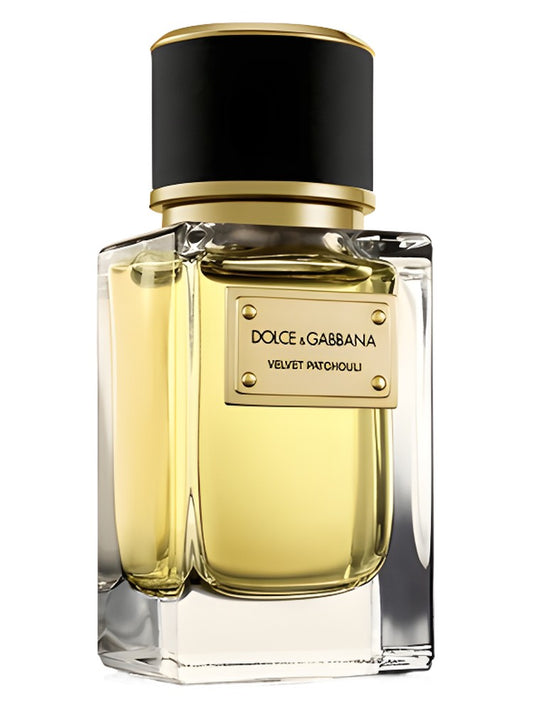 Velvet Patchouli Dolce&Gabbana for women and men 100ML