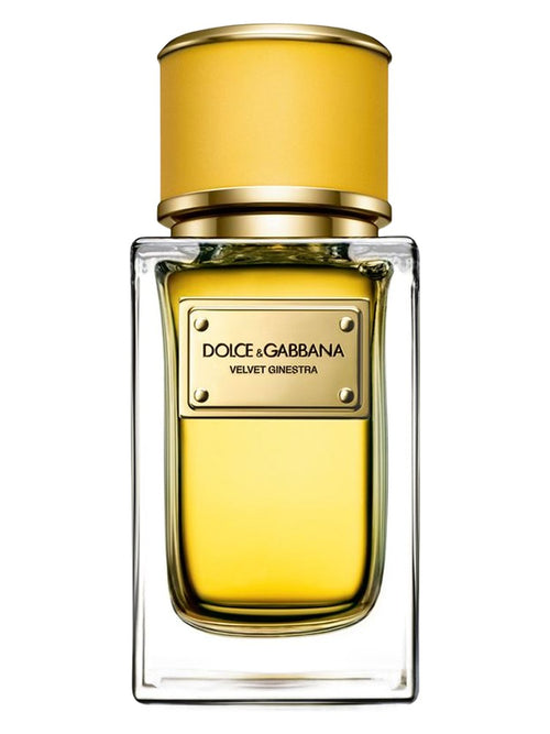 Velvet Ginestra Dolce&Gabbana for women 100ML