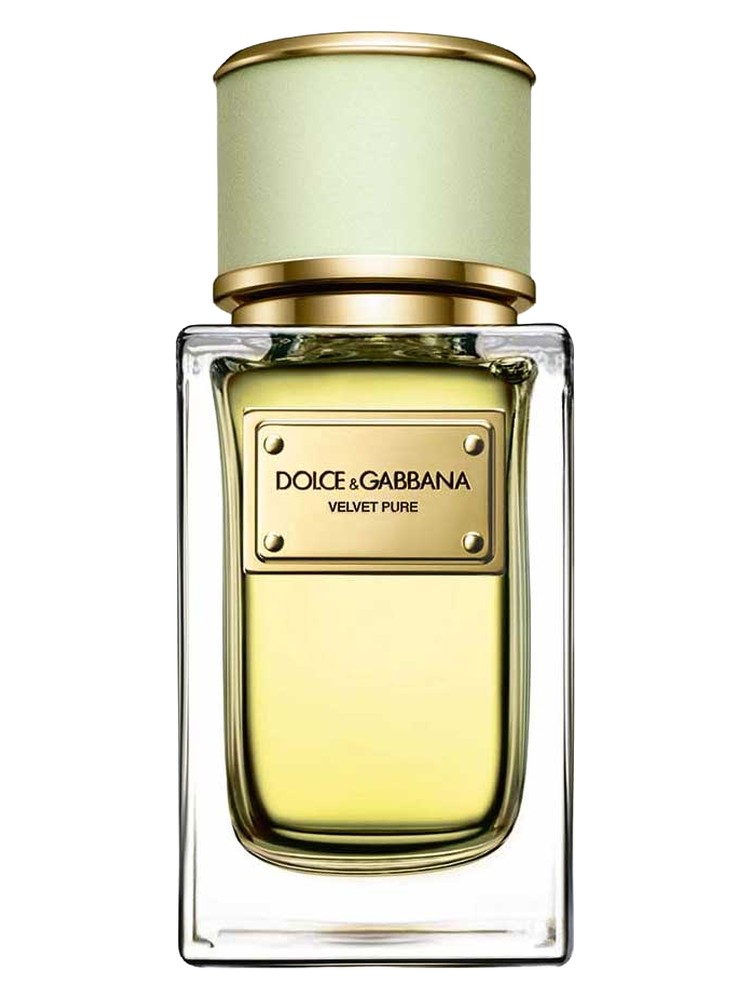 Velvet Pure Dolce&Gabbana for women 100ML