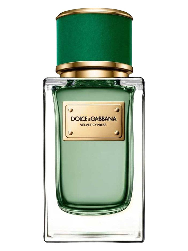 Velvet Cypress Dolce&Gabbana for women and men 100ML