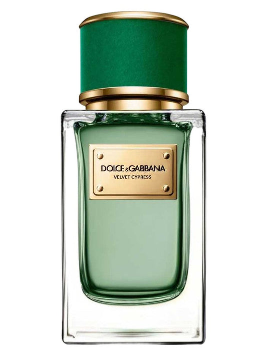 Velvet Cypress Dolce&Gabbana for women and men 100ML